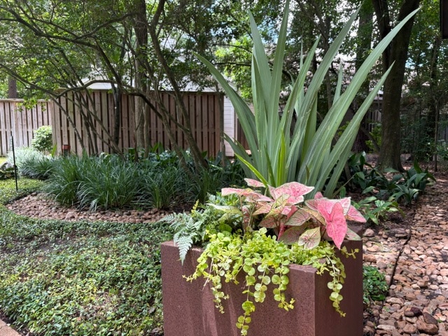 A planter of caladiums and ferns set against a backdrop of a mass-planted liriope border