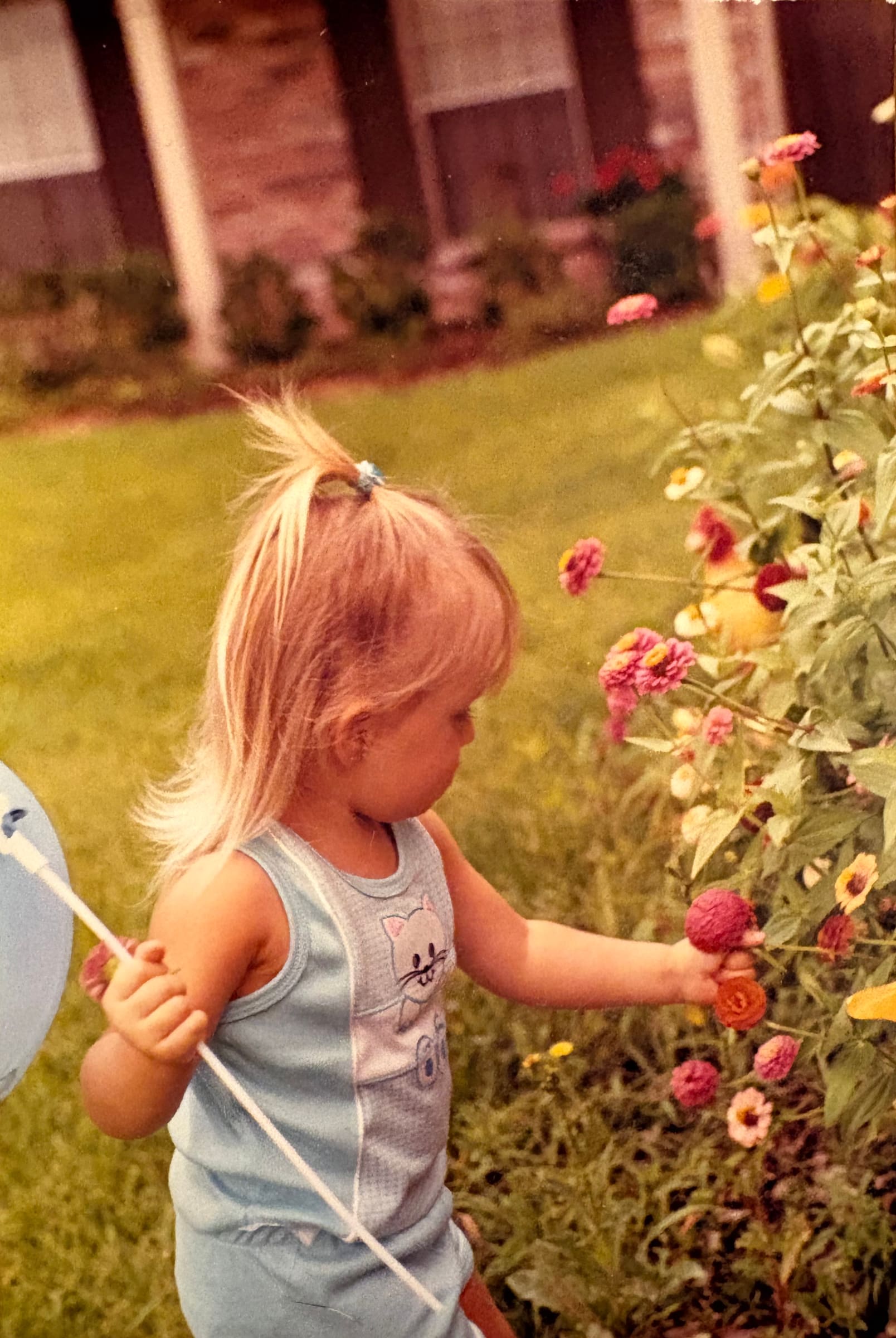 Katherine as a small child, bending toward a bed of zinnias with a balloon in hand